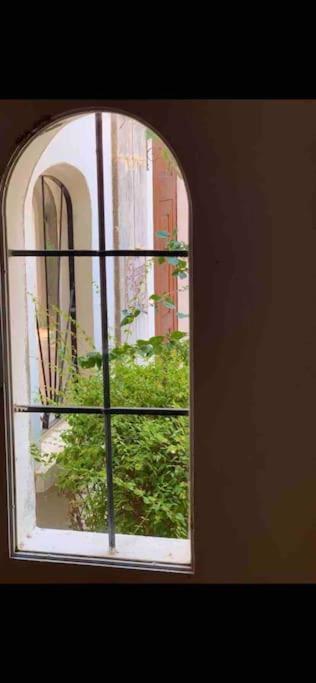 Estudio Montanar A 50 Metros Del Mar خافييا المظهر الخارجي الصورة